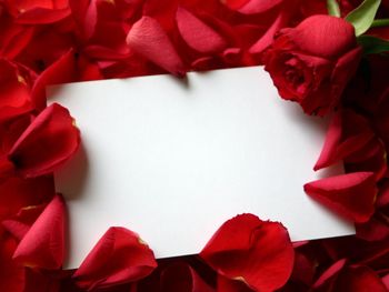 Roses Love Letter screenshot