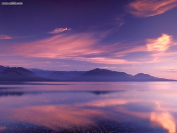 Royal Reflection On Hood Canal Washington screenshot