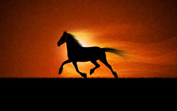 Running horse screenshot