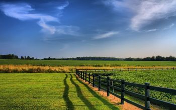 Rural Land screenshot