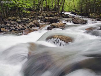 Rushing Creek In Spring Great Smoky Mountains National Park Tennessee screenshot
