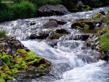 Rushing Waters South Georgia Island screenshot