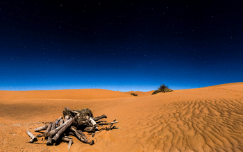 Sahara Desert 4K 8K screenshot