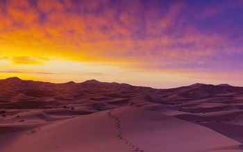 Sahara Desert Sand Dunes screenshot