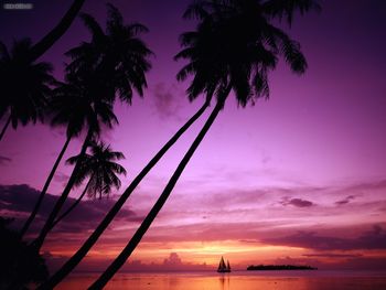 Sailing In Paradise Tahiti French Polynesia screenshot