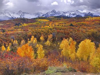 San Juan Color, Near Ridgway And Telluride, Colorado screenshot