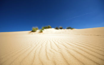 Sand Beauty screenshot