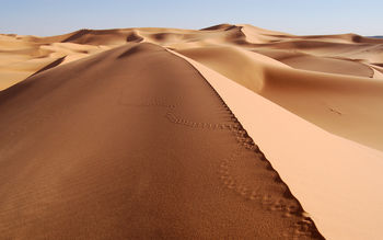 Sand Sea screenshot