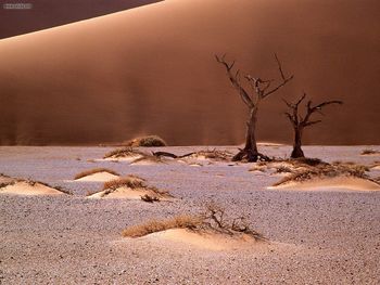 Sandscape Namib Desert Africa screenshot