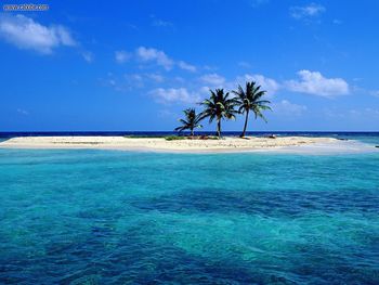Sandy Island Off Lighthouse Reef Belize screenshot