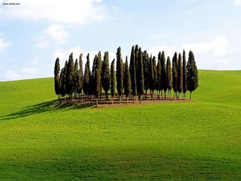 Scenic Siena Province Tuscany Italy screenshot