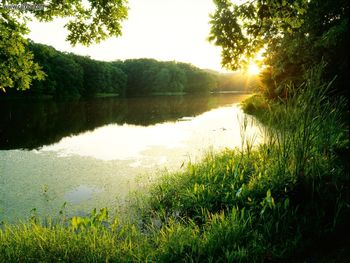 Schlamm Lake At Sunset Clark State Forest Indiana screenshot