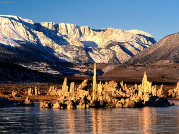 Sea Of Microscopie Life, Mono Lake, Sierra Nevada, California screenshot