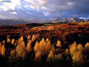 Seasonal Colors Grand Teton National Park Wyoming screenshot