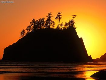 Seastacks Second Beach Washington screenshot