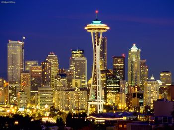 Seattle Skyline At Night, Washington screenshot