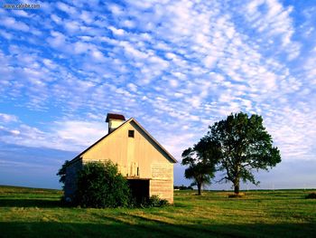 Secluded Amongst Nature Livingston County Illinois screenshot