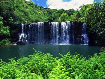 Secluded Falls Kauai screenshot
