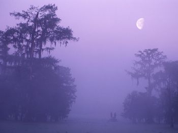 Secret Fishing Hole, Louisiana screenshot