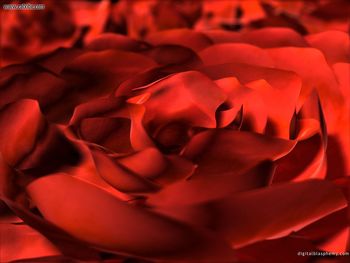 September Rose screenshot