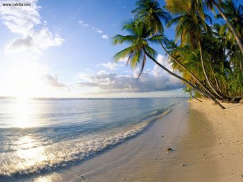 Serenity Pigeon Point Tobago screenshot