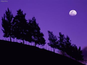 Serra Dos Orgaus National Park, Teresopolis, Brazil screenshot