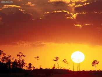 Setting Sun Over The Swampland Everglades National Park Florida screenshot