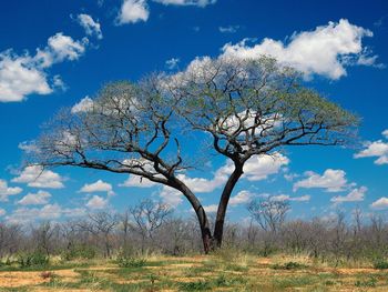 Shakawe, Botswana screenshot