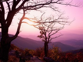 Shenandoah National Park, Virginia screenshot