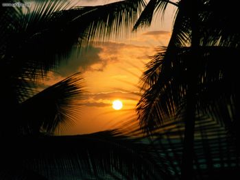 Silhouette Sunset Hawaii screenshot