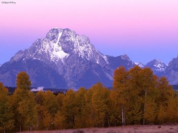 Silk Finish, Grand Teton National Park screenshot