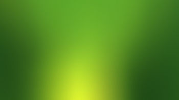 Simple Green screenshot