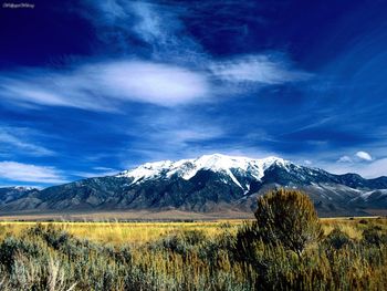 Snow Capped, Northern Idaho screenshot