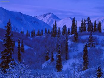 Snow Covered Alaskan Range screenshot