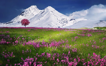 Snow Mountains Landscape screenshot