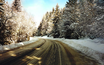 Snow Path screenshot
