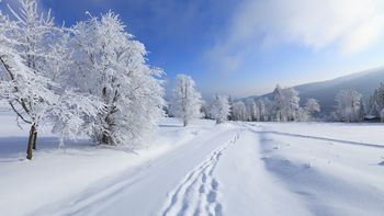 Snow Steps In Winterland screenshot