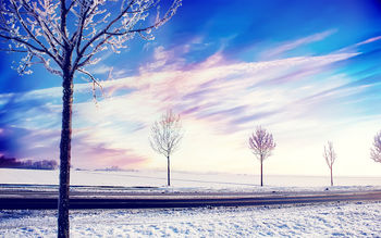 Snow Winter Trees screenshot