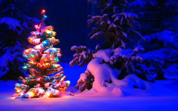 Snowy Christmas Tree Lights screenshot