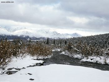 Snowy Season Along The Savage River Alaska screenshot