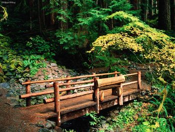 Sol Duc Falls Trail, Olympic National Park, Washington screenshot