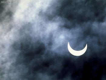 Solar Eclipse Joshua Tree National Park California screenshot