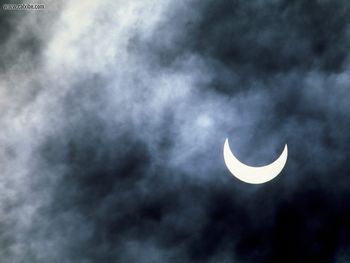 Solar Eclipse Joshua Tree National Park California screenshot