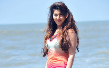 Sonarika Jadoogadu screenshot