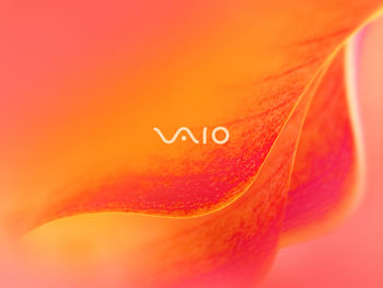 Sony VAIO 5 screenshot