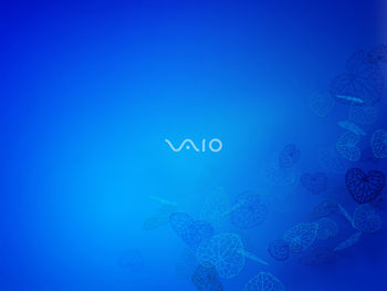 Sony VAIO screenshot