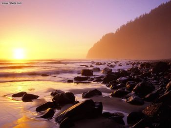 South Beach Cape Lookout State Park Oregon screenshot