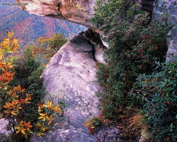 South Carolina Cherokee Foothills screenshot
