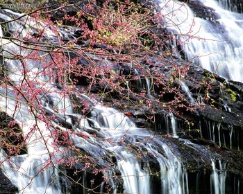 South Carolina Station Cove Falls screenshot