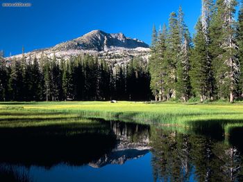 South Fork Of Silver Creek El Dorado National Forest Sierra Nevada California screenshot